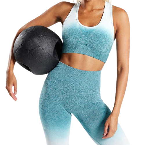 Ombre Seamless Push Up Sports Bra - Blue / S - Sport Finesse