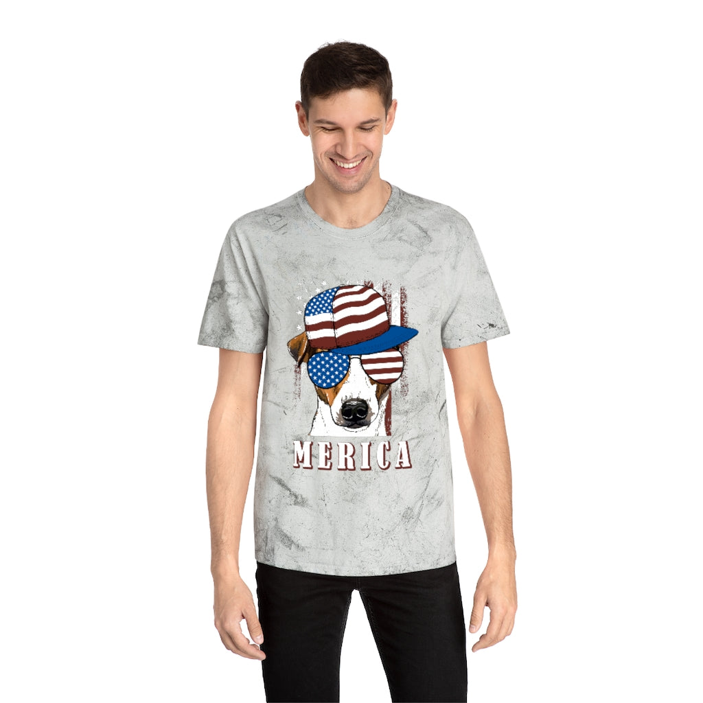 American Dog Color Blast T-Shirt - Smoke / L - Sport Finesse