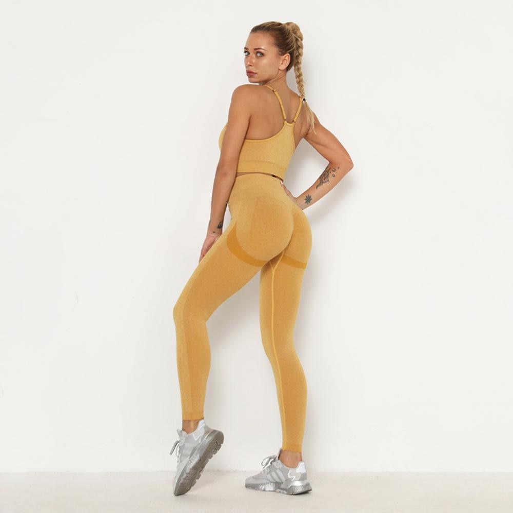 Laya Long Sleeve Seamless Fitness Set - Sport Finesse