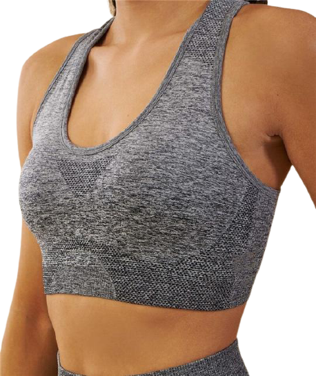 Ombre Seamless Push Up Sports Bra - Grey / S - Sport Finesse