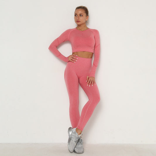 Laya Long Sleeve Seamless Fitness Set - Pink / S - Sport Finesse